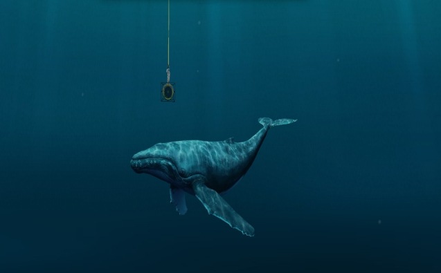Le chant des baleines repris aux quatre coins du monde