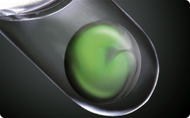 embryon-oeil-tube