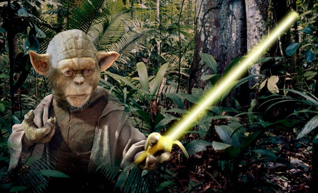 singe-Yoda