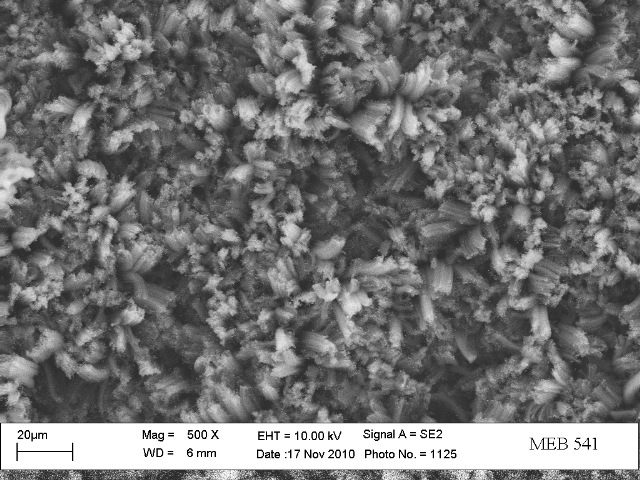 nanotube-carbone-absorbent-lumière2