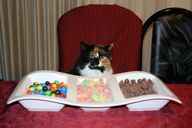 candy-cat
