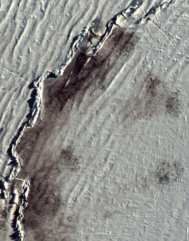 satellite-manchots-antarctique