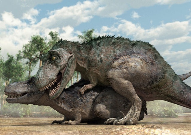 tyrannosaurs-sex