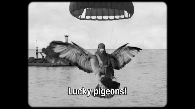 pigeon-missile