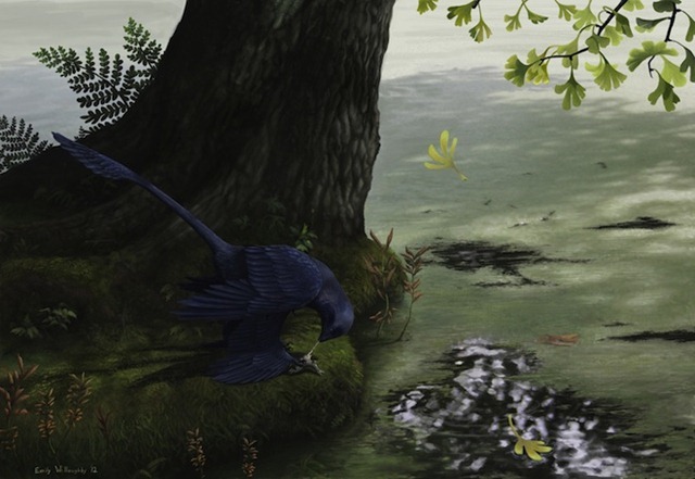 Microraptor1