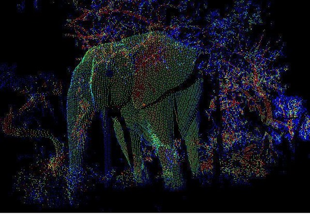 LIDAR-éléphant2