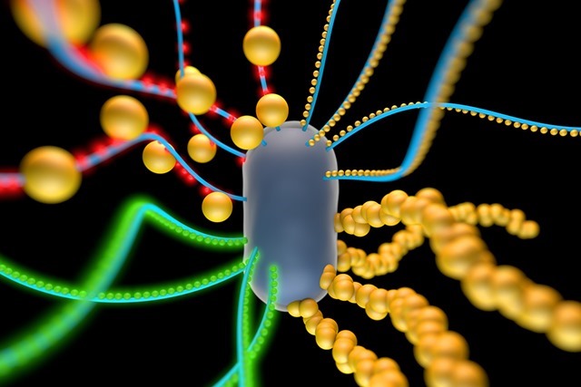 bactérie-biofilm-nanoparticules