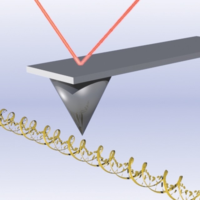 soft-touch atomic force microscopy