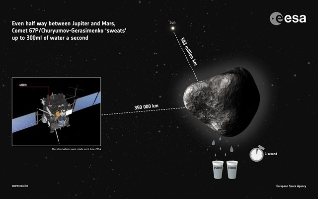 Miro-Rosetta