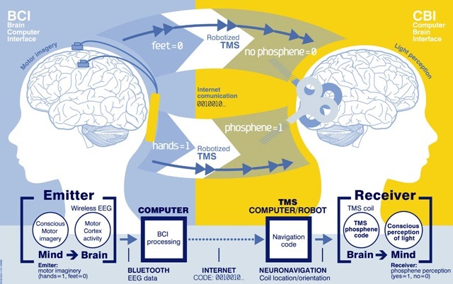 Schéma-Communication-cerveau-cerveau