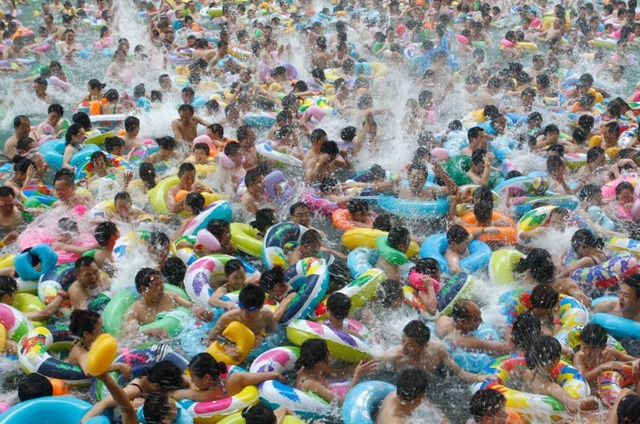 Surpopulation-piscine