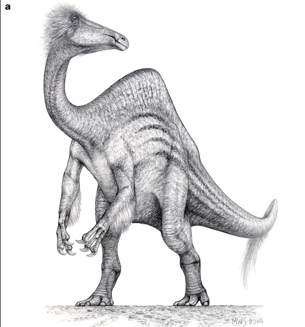 Deinocheiru2s