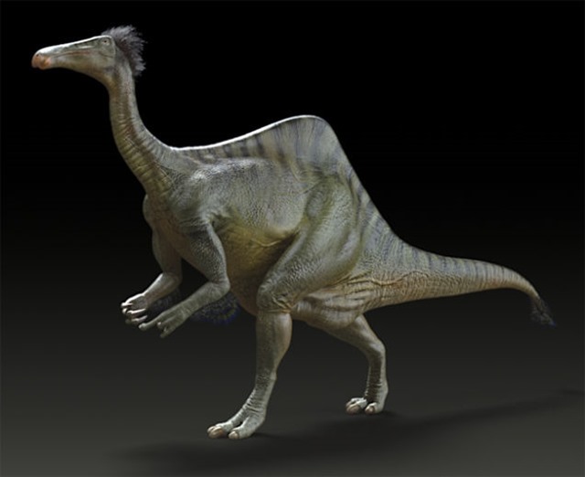 Deinocheirus2