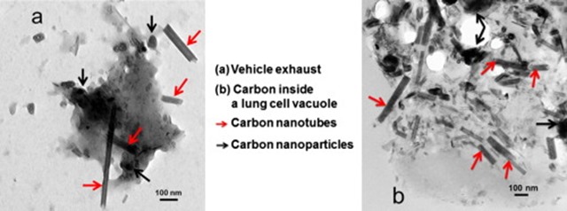 nanotubes de carbone-TEM