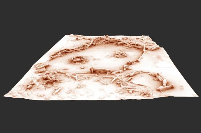 Restitution 3D des structures de la grotte de Bruniquel