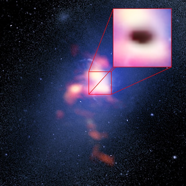 Abell 2597 Brightest Cluster Galaxy-Alma