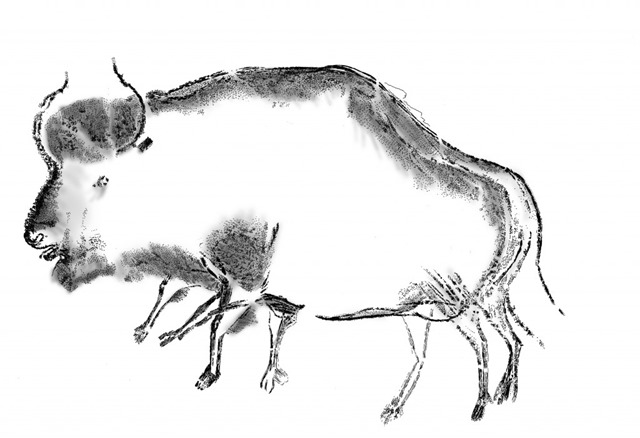 bison des steppes