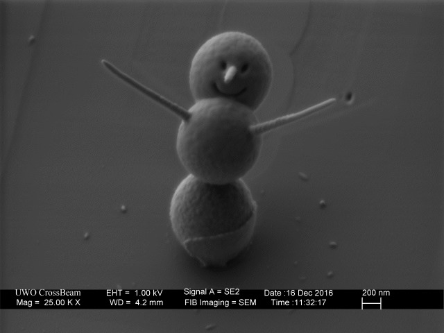 nanobonhomme de neige