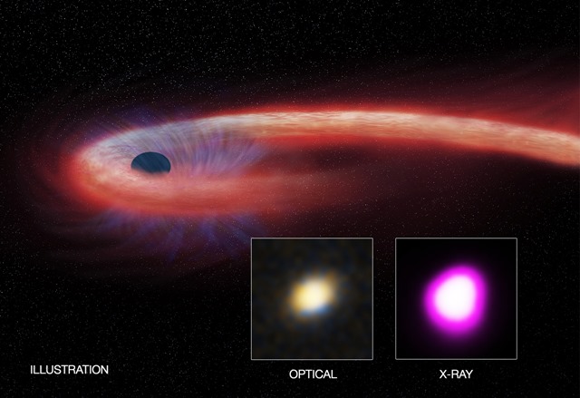 Black Hole Meal Sets Record for Duration and Size