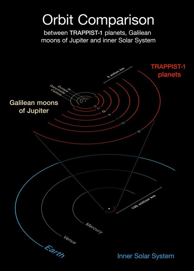 trappist-1-planete-orbites-diagrame