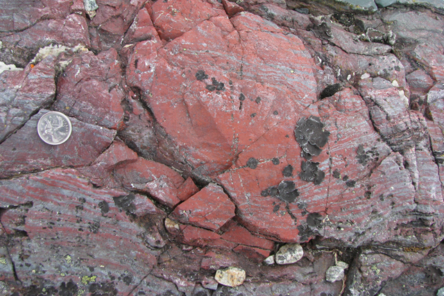 roche ferrigineuse fossile-17