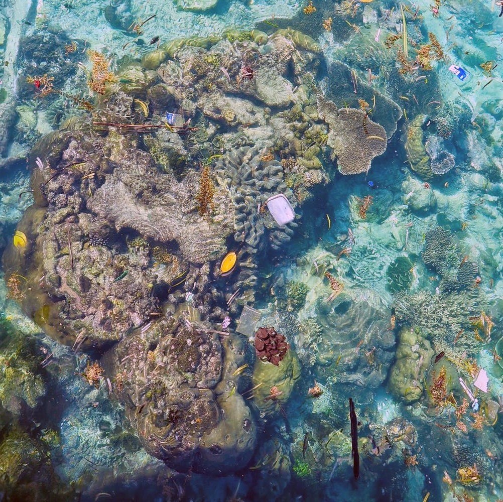 Plastique coraux
