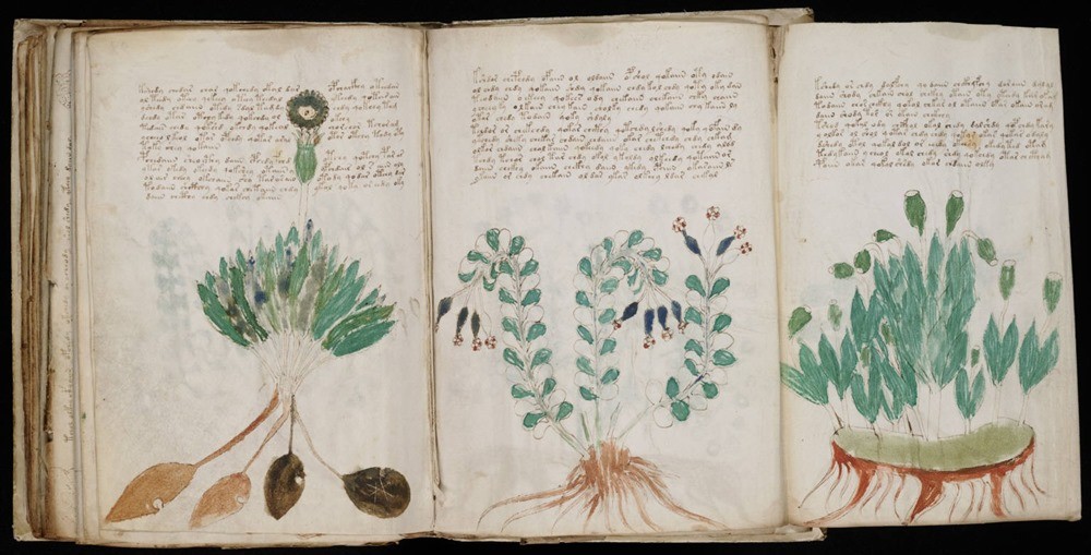 Voynich-manuscript-5 18