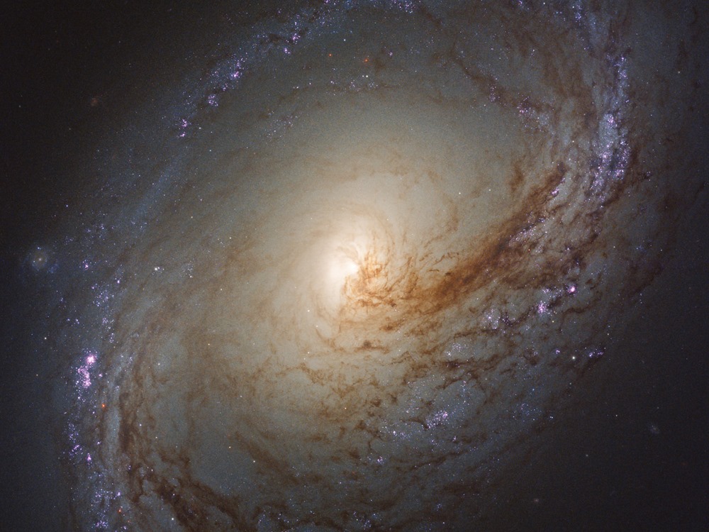 Wave of star formation in Messier 96