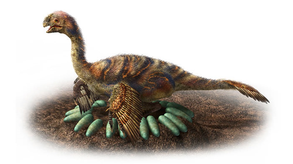 oviraptorosaur oeufs1