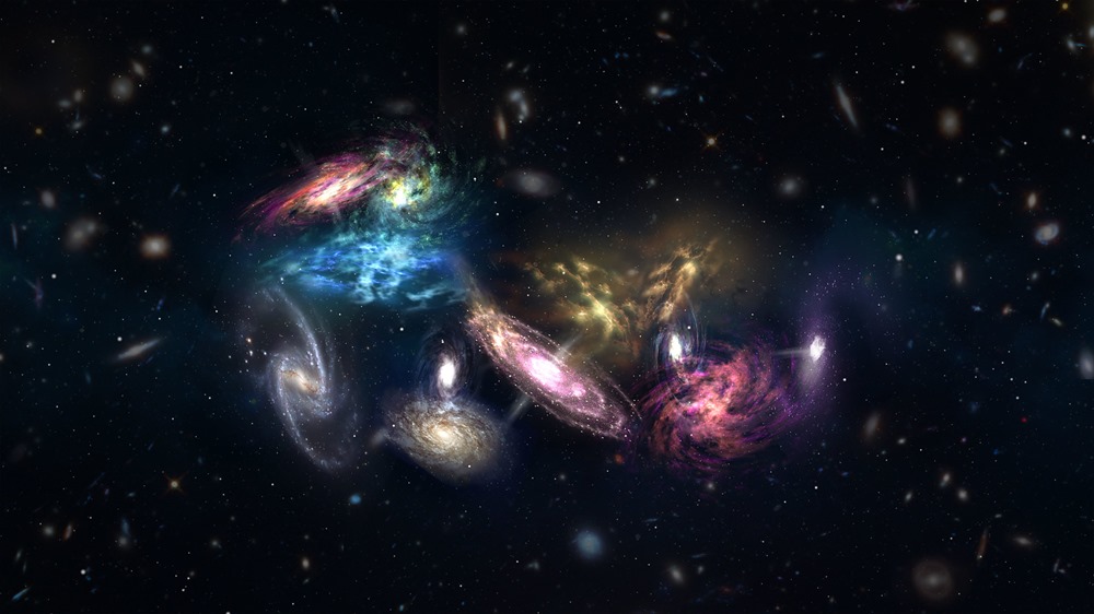 protocluster galaxies