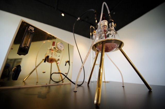 "The Great Work of the Metal Lover" by Adam Brown on display at the Kresge Art Center on Tuesday July 24, 2012.
