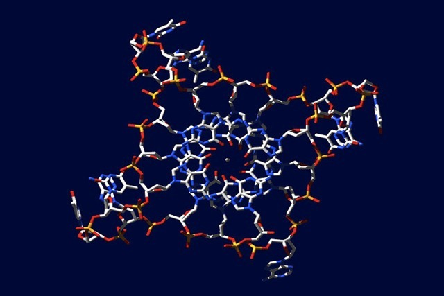 ADN-4-hélices