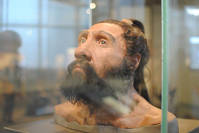Homme de neanderthal- National Museum of Natural History