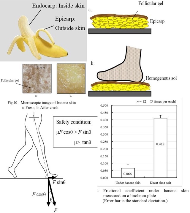 Banane-resum