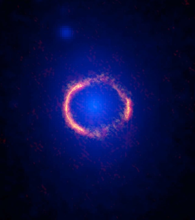 ALMA-Hubble SDP81