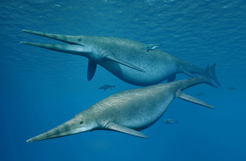 Giant ichthyosaur1