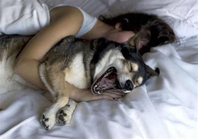 Femme dort chien