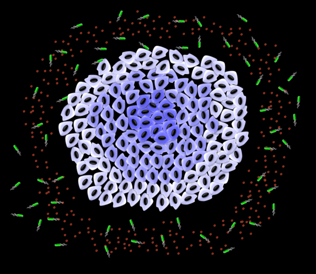 NanoBEADS TOC Image