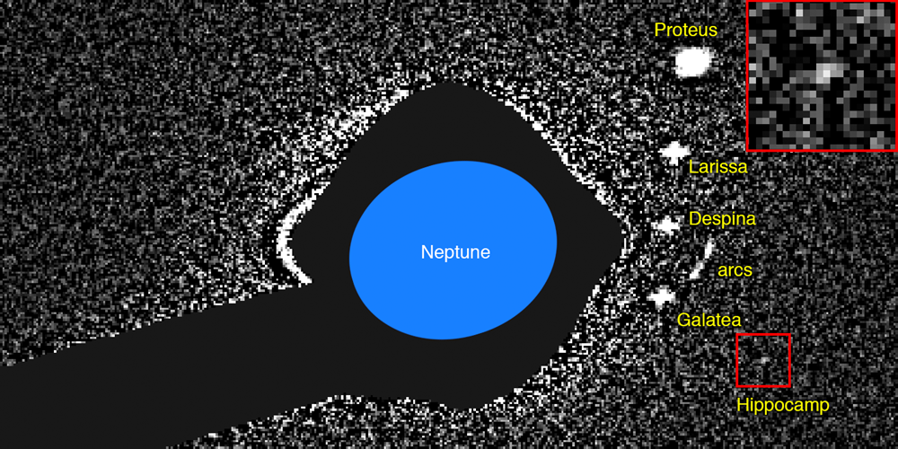 Neptune-Hippocamp 1 19