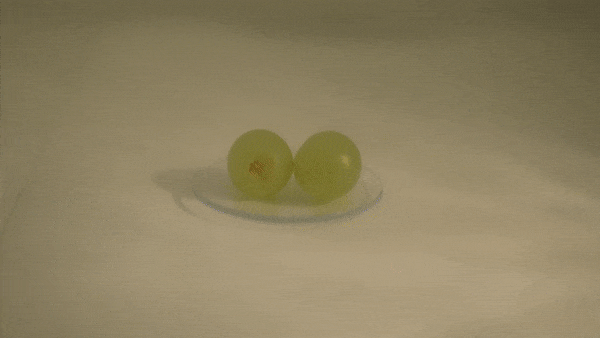 raisins vs micro onde 19