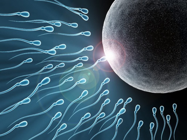 Sperm race 1 19