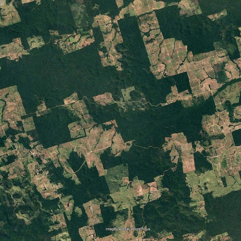 amazon-déforestation 1 19