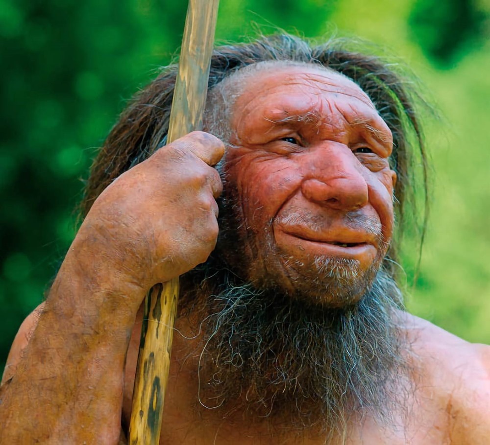 neanderthals oreille 3 19