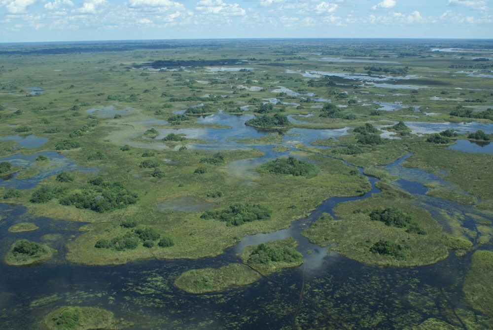 Delta Okavango 1 19