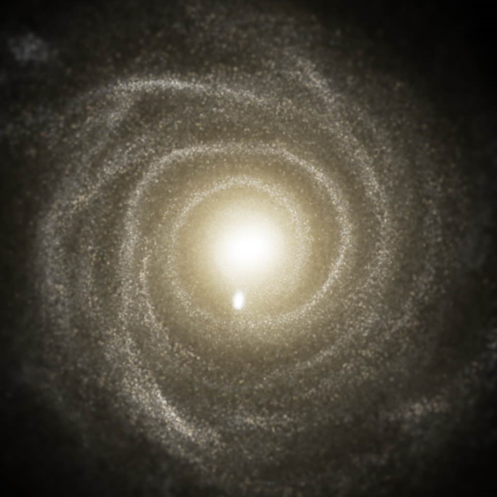 Galaxie a disque TNG50 1 19