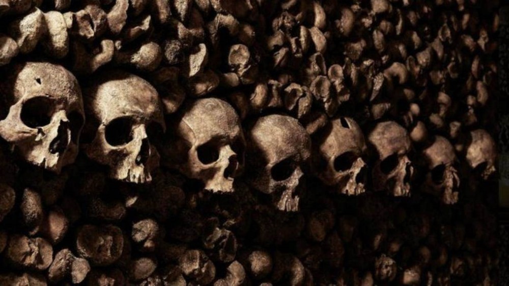 Fossile-Catacombs Paris 1 19