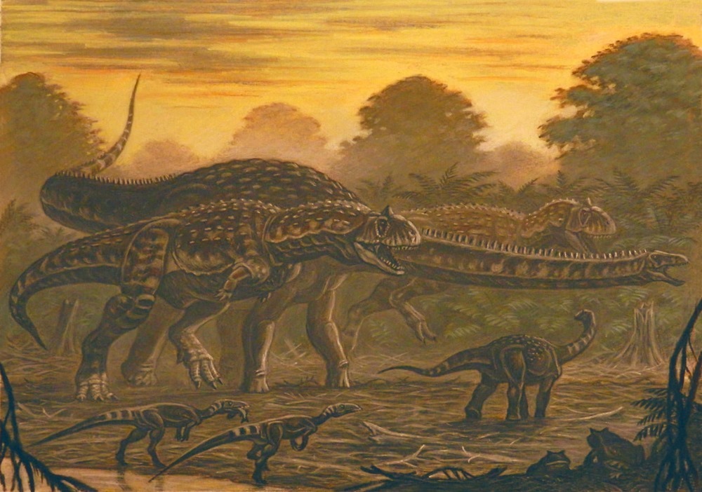 Majungasaurus 1 19
