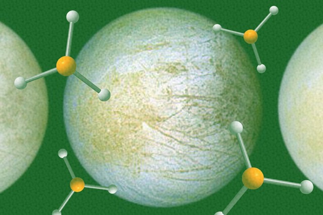 MIT-Life-Molecule-01