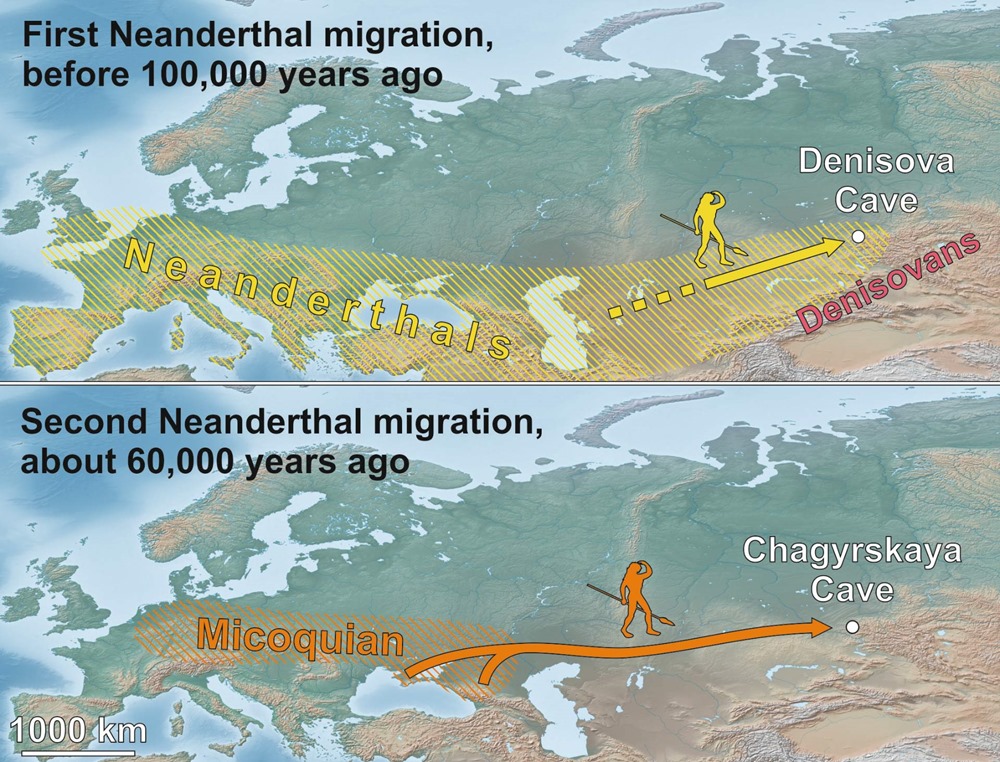 Neanderthalien-Chagyrskaya 1 20