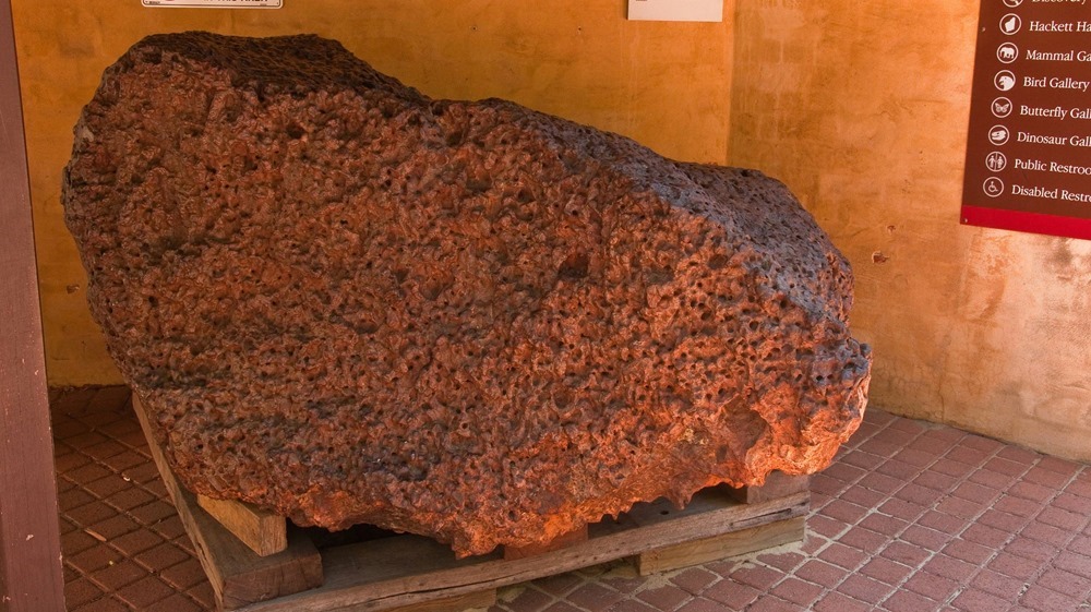 Mundrabilla meteorite 1 20